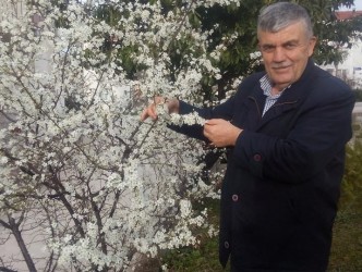 ERİKLER ÇİÇEK AÇTI