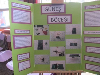 GÜNEŞ BÖCEĞİ YAPTILAR