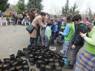 ÖĞRENCİLER 250 CEVİZ TOHUMU EKTİ