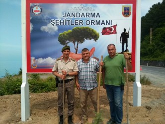 ALAPLI’DA ŞEHİTLER ORMANI OLUŞTURULDU