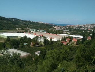 AK-AL, 1 HAZİRAN’A KADAR ÜRETİME ARA VERDİ